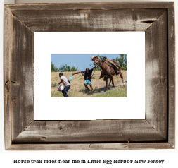 horse trail rides near me in Little Egg Harbor, New Jersey